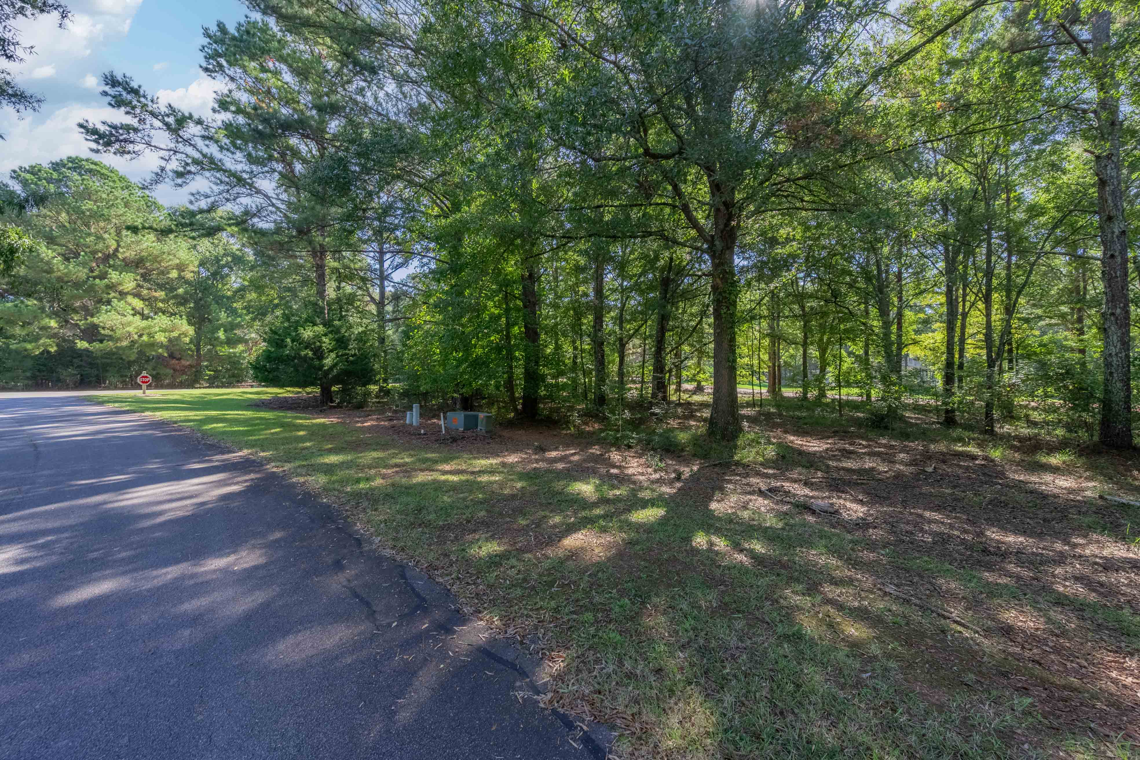 236 Broadlands Drive image 3